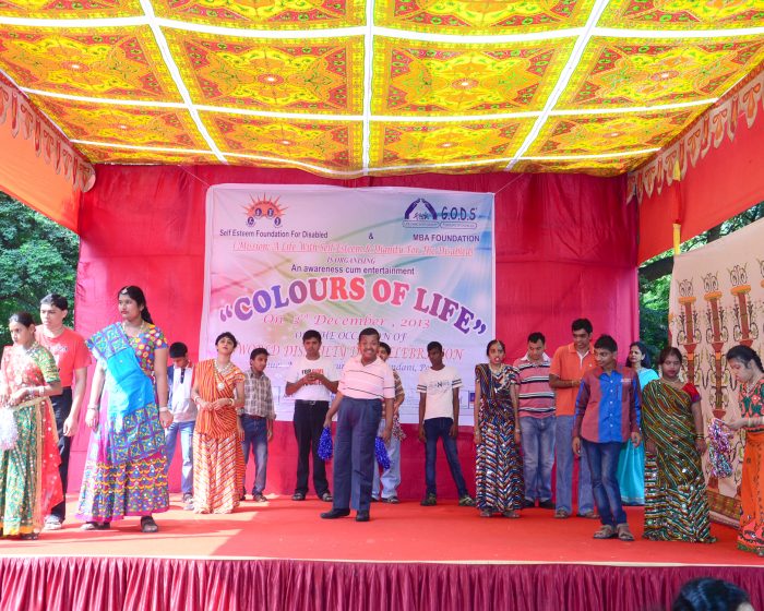 Colours of Life 2013