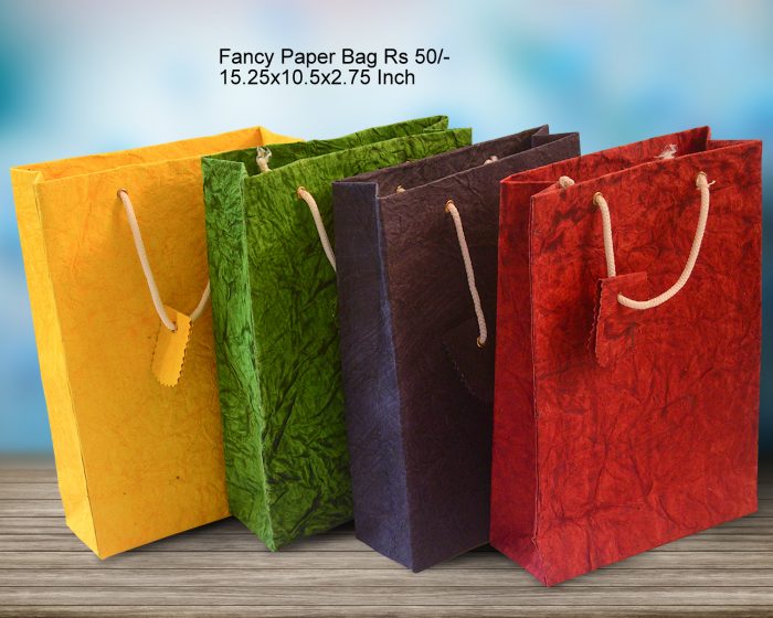 Fancy paper Bag Rs 50